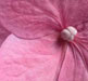 hydrangea2