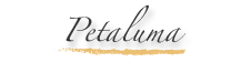 Petaluma wedding